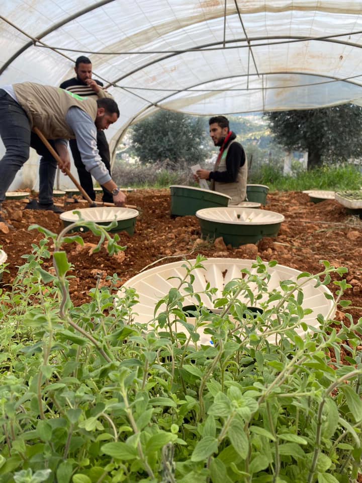 Watering box Cyprus