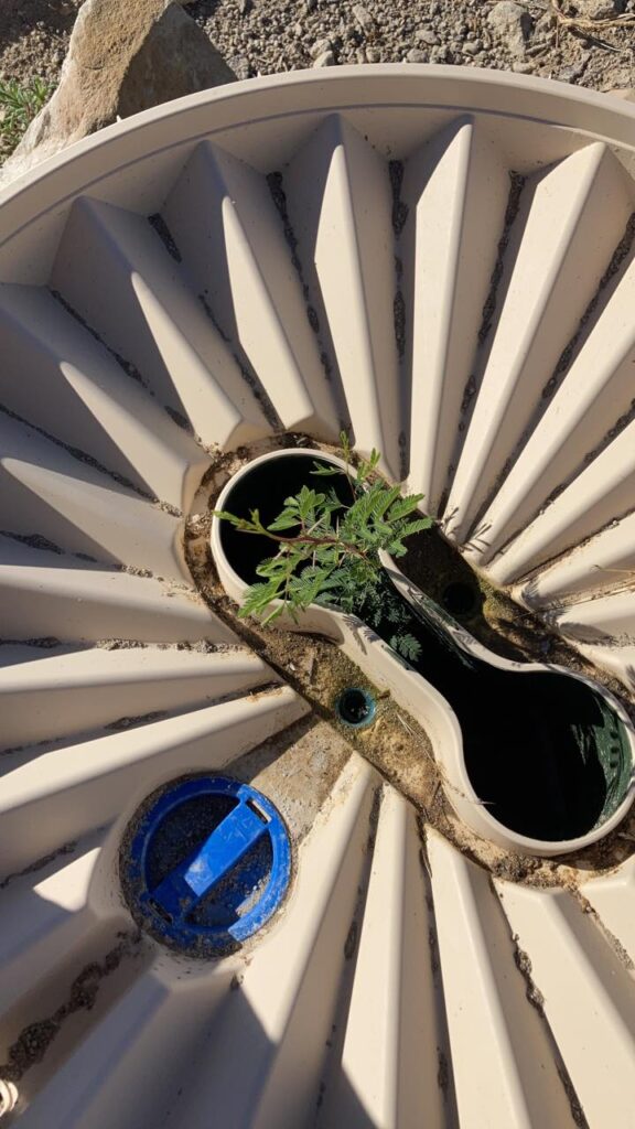 Watering box Cyprus