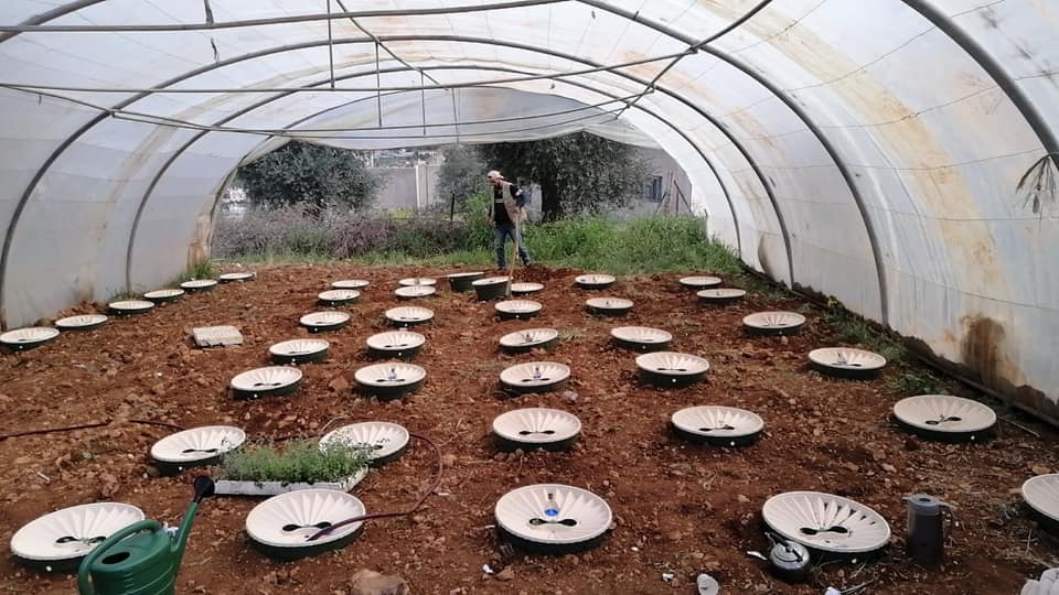 Watering box Cyprus